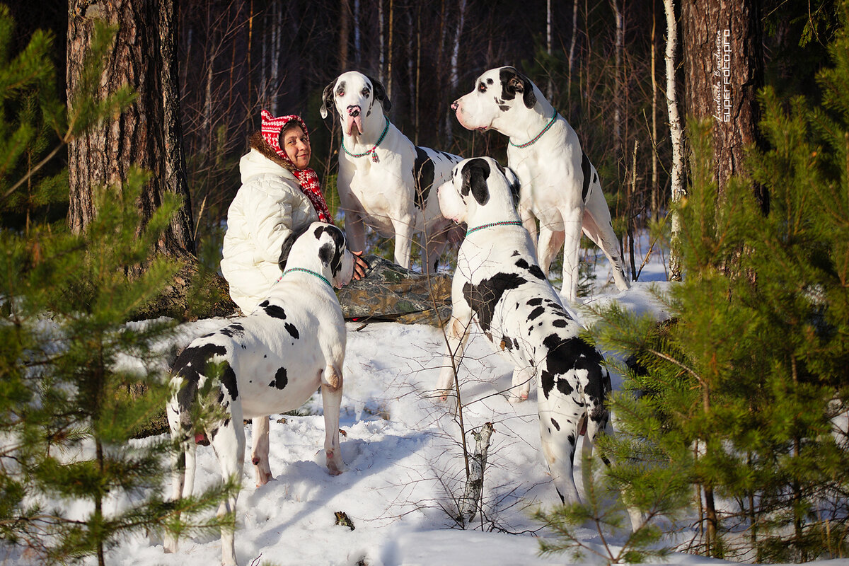 Вот так селфи с живностью делать можно и нужно!