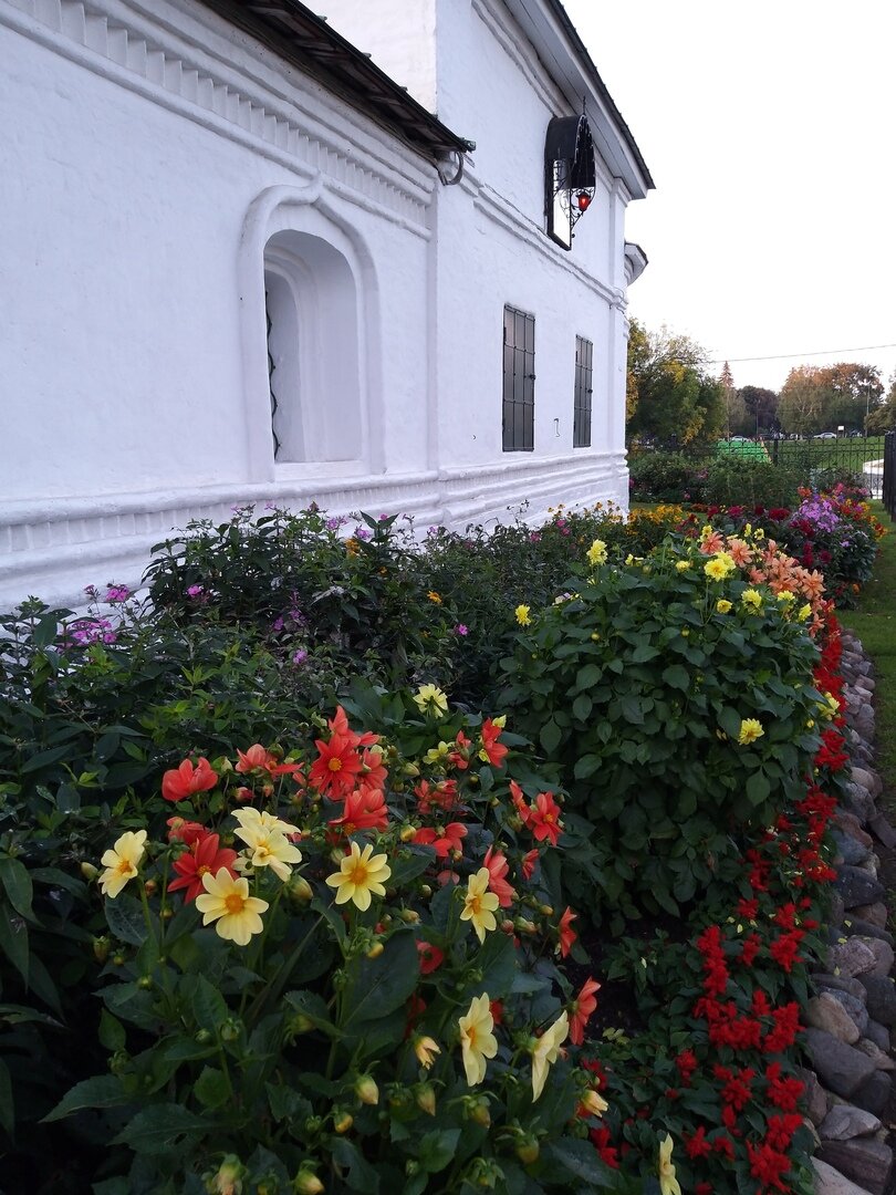                                                                                                  Фото автора статьи