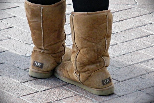 Нет, это конечно жёстко потрёпанный вариант, я тут про приличных топтыгиных