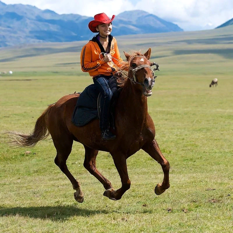 Традиции казахов связанные с лошадьми. Казахская лошадь Джабе. Казахская порода лошадей Джабе. Казахский наездник. Казахская порода лошадей.