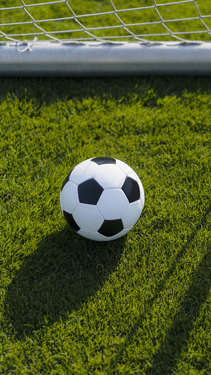 Фотография из яндекс картинок