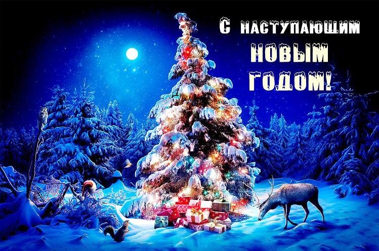 Пусть сбудутся все Ваши мечты!