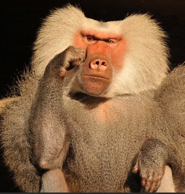 И какой же я всё-таки балбес! 