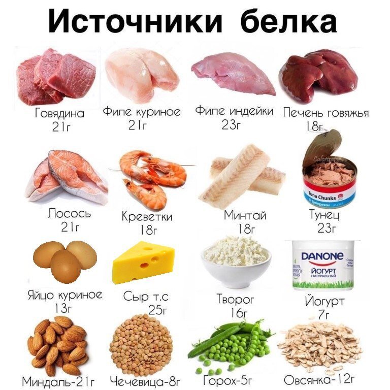 Источники белка