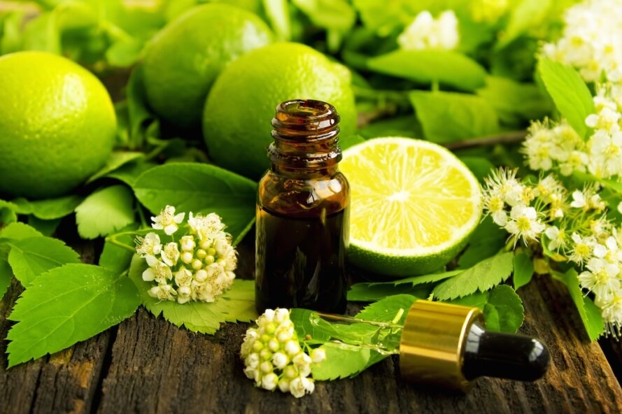 источник http://ru.light-land.com/wp-content/uploads/2018/05/efirnoe-maslo-limetta.jpg