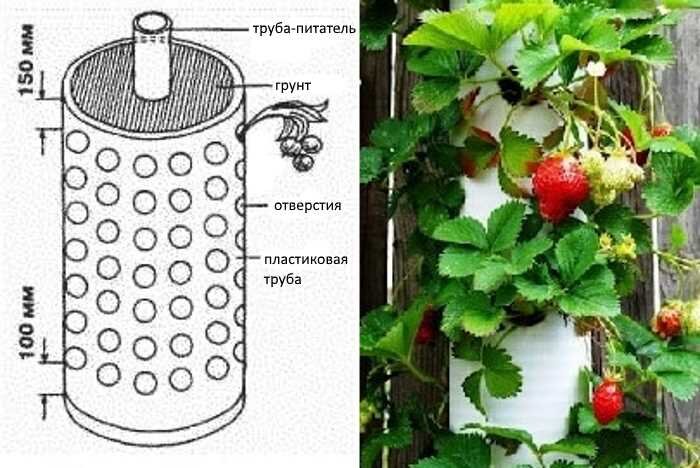 Как сделать вертикальные грядки своими руками?