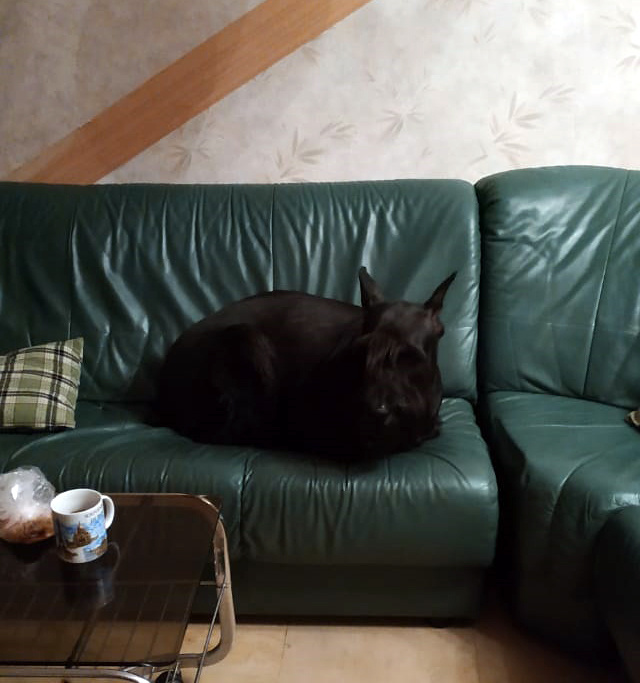 Только приехали...