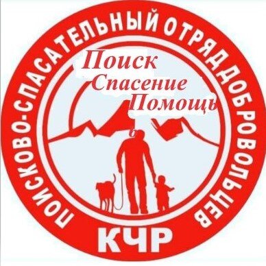 Эмблема отряда