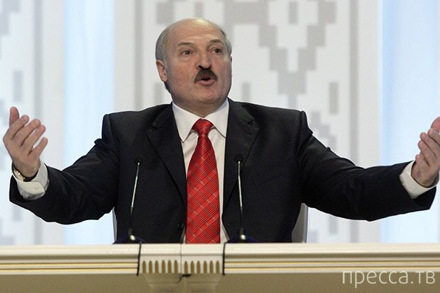 57-килограммовый сом Александра Лукашенко

Обычно глава Белоруссии Александр Лукашенко не демонстрирует невиданных достижений в рыбалке, его конек — хоккей и лыжи. Но после того как на прошлой неделе российский лидер Владимир Путин выловил в Туве огромную щуку (подробнее о ней в подписи к следующему слайду), закинуть удочку решил и Лукашенко. Для рыбалки он выбрал реку Припять, которая, если верить белорусскому президенту, до недавнего времени была безрыбной. Однако в реке «навели порядок», и теперь «палец сунешь, за палец рыба хватает», заверил Лукашенко и в доказательство этих слов сообщил о гигантском соме 57 кг, которого собственноручно выловил. «Я, правда, такой рыбак, как и охотник, но иногда детство вспоминаю», — скромно добавил президент.
