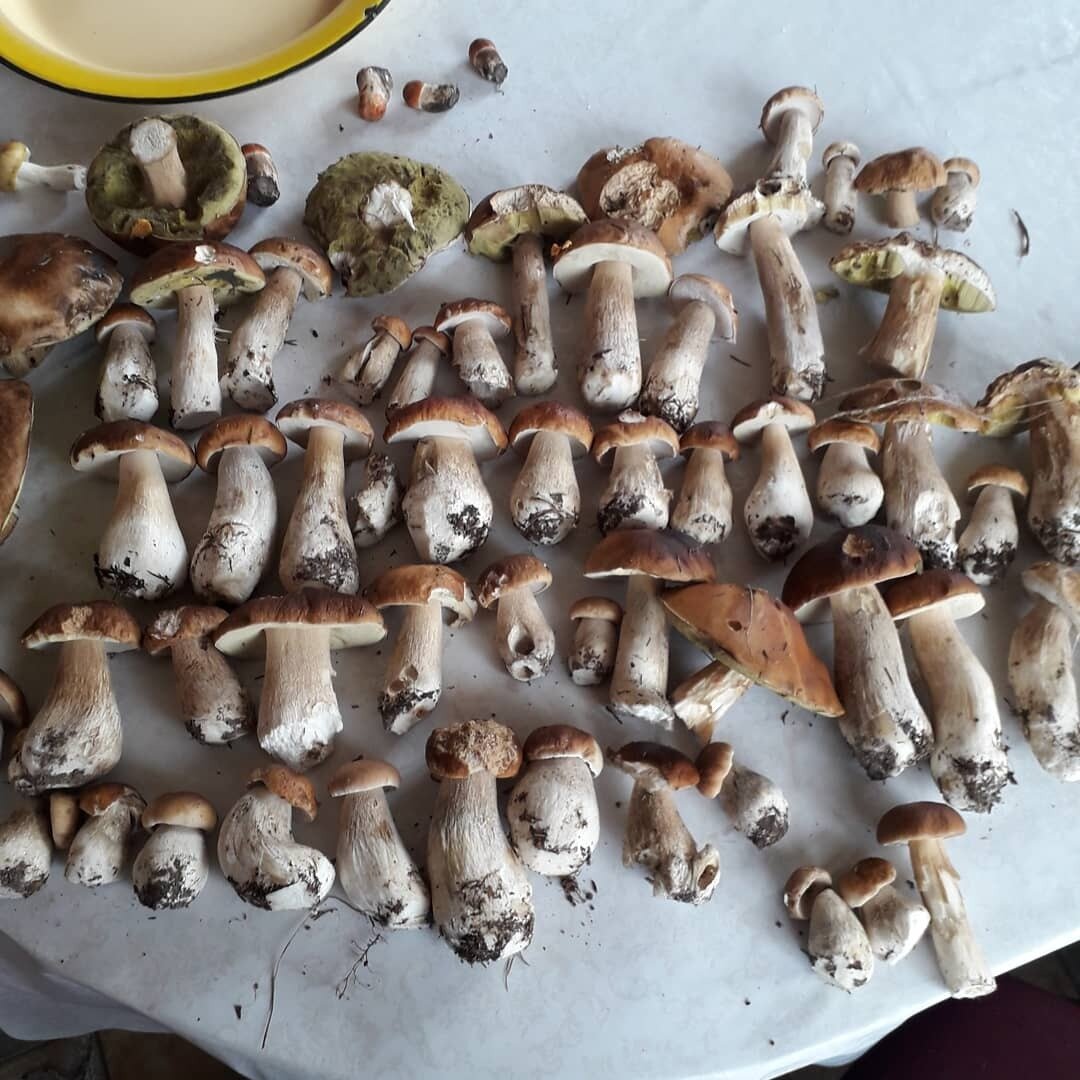 Урожай