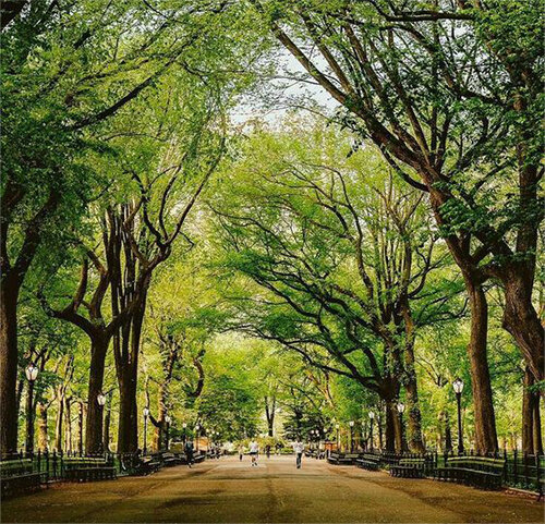 Хорошо, когда рядом с домом есть парк.