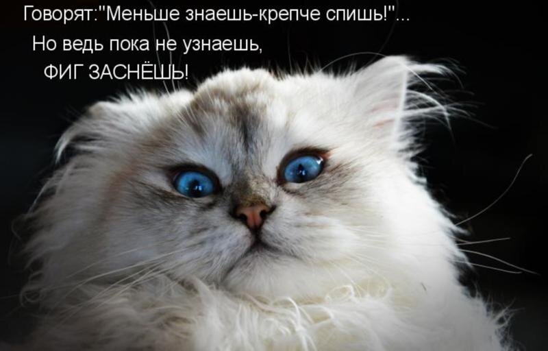 Ничего себе картинки прикольные с надписями