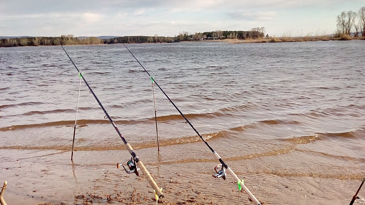 Фото из открытого доступа