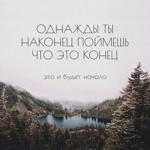 Яндекс картинки