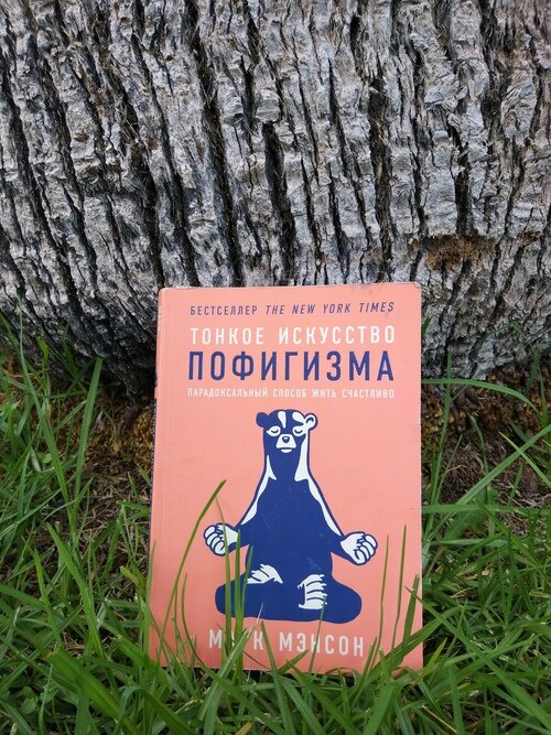 Тонкое искусство пофигизма слушать. Теория пофигизма книга. Книга тонкое искусство пофигизма. Тонкое искусство пофигизма слушать. Тонкое искусство пофигизма обложка.