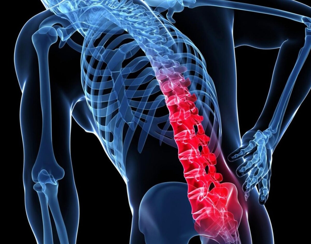 изображение из открытого источника