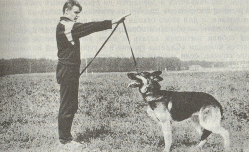 Школа СССР - ДОСААФ