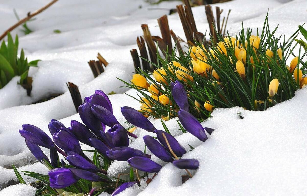 фото взято из открытого источника 