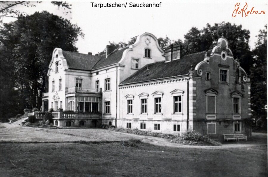 Так усадьба выглядела до войны               Фото с сайта ЭтоРетро.ru - старые фотографии  городов