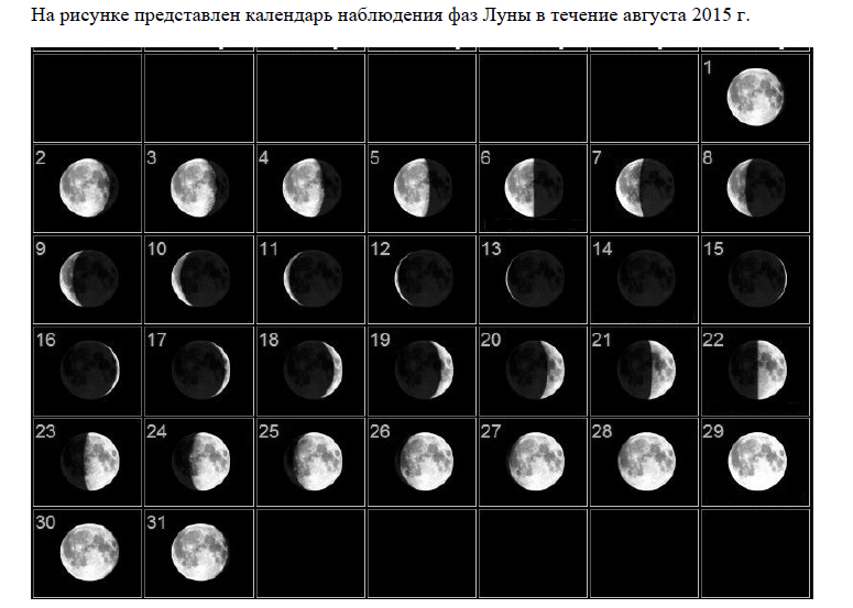 календарь фаз