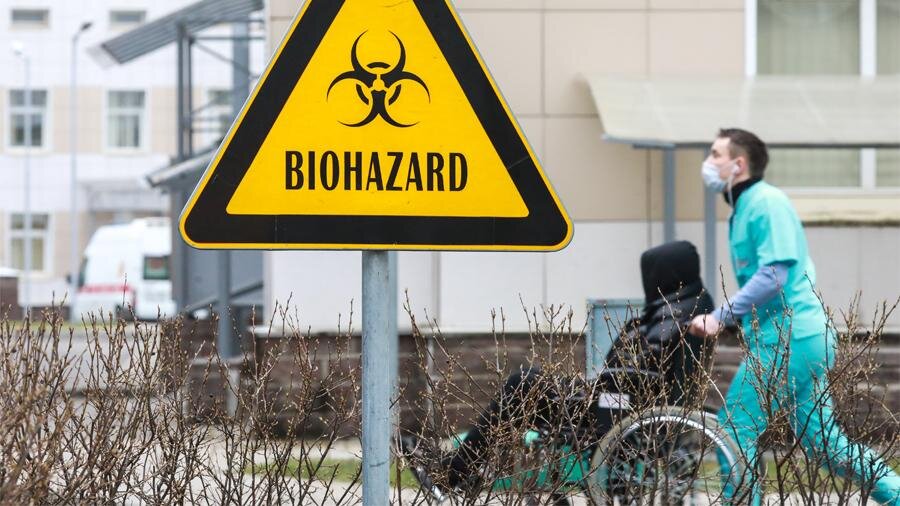 Фото: ИЗВЕСТИЯ/Сергей Коньков