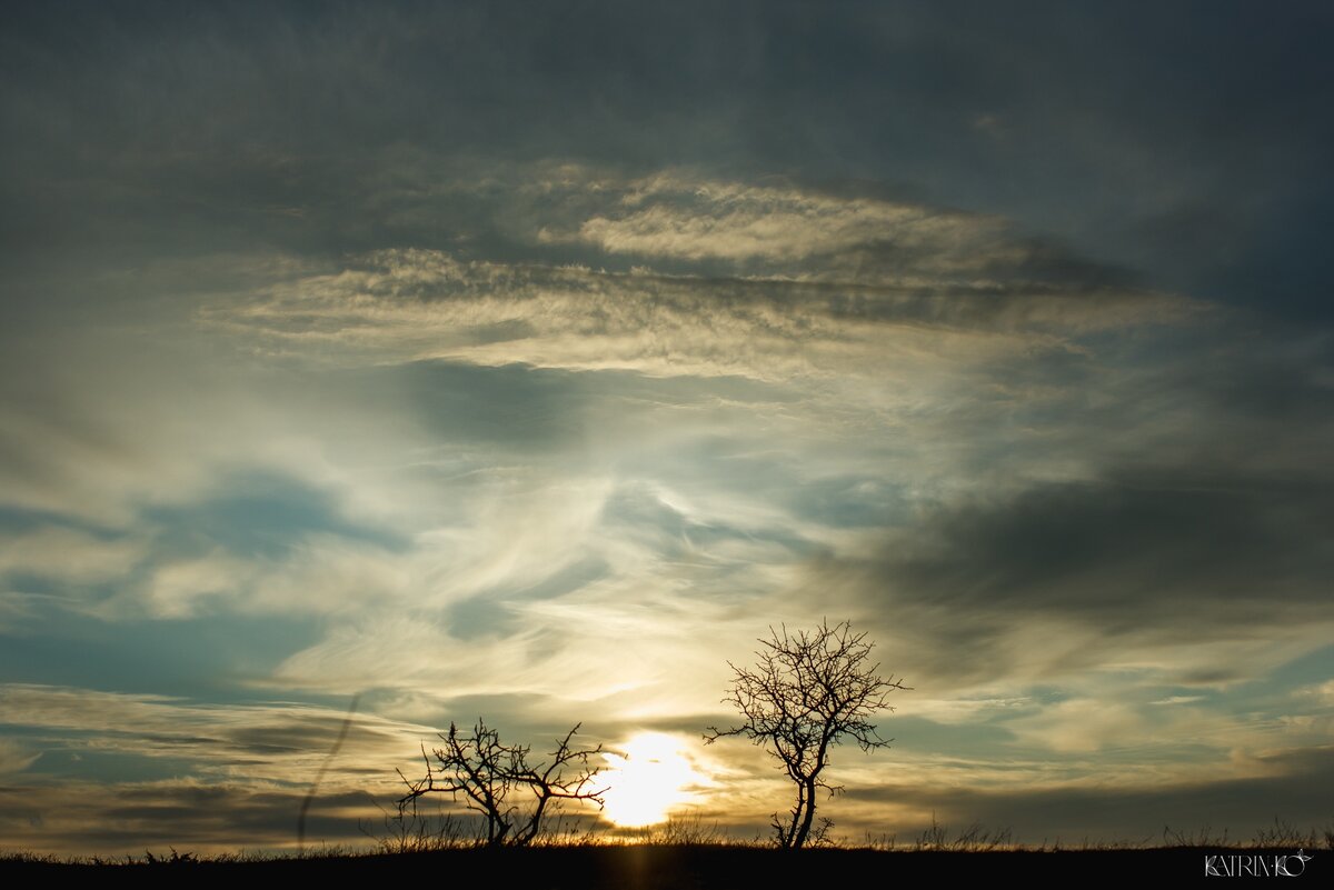 Зима на Фиоленте. Фото Катрин Кисалевой @fay.katrinko