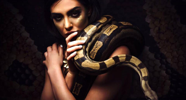 Из открытого источника