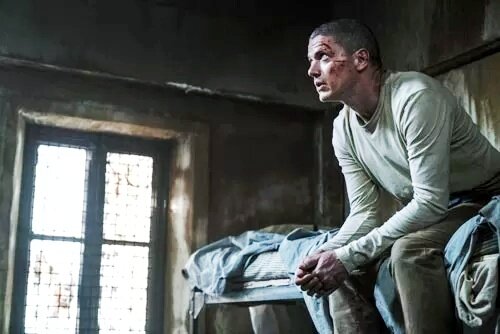 фото из открытого источника
