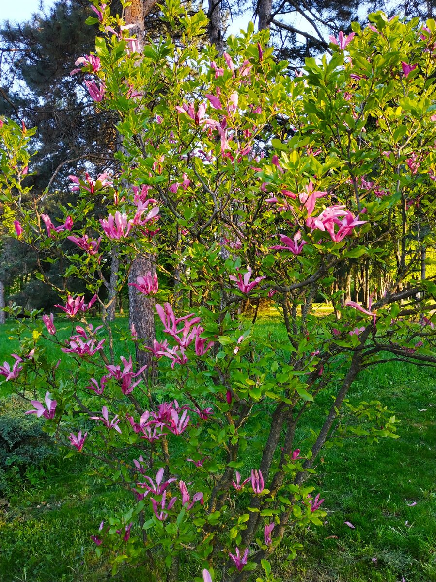 2019г. Личный архив.