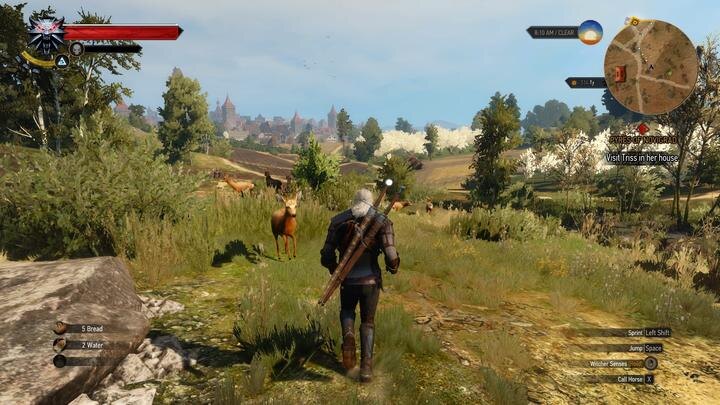 The Witcher 3: Wild Hunt