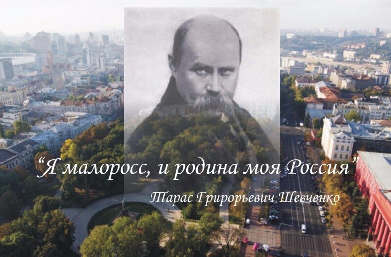 Фото из открытого источника Яндекс 