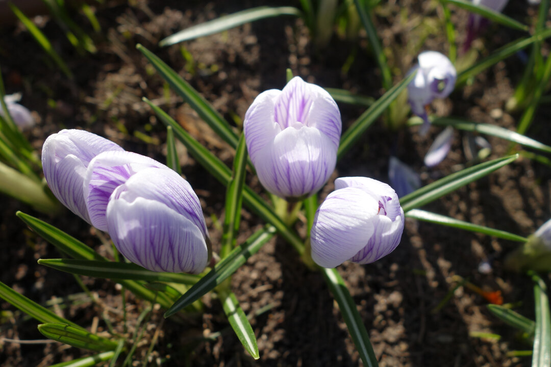 Фото из собственных источников