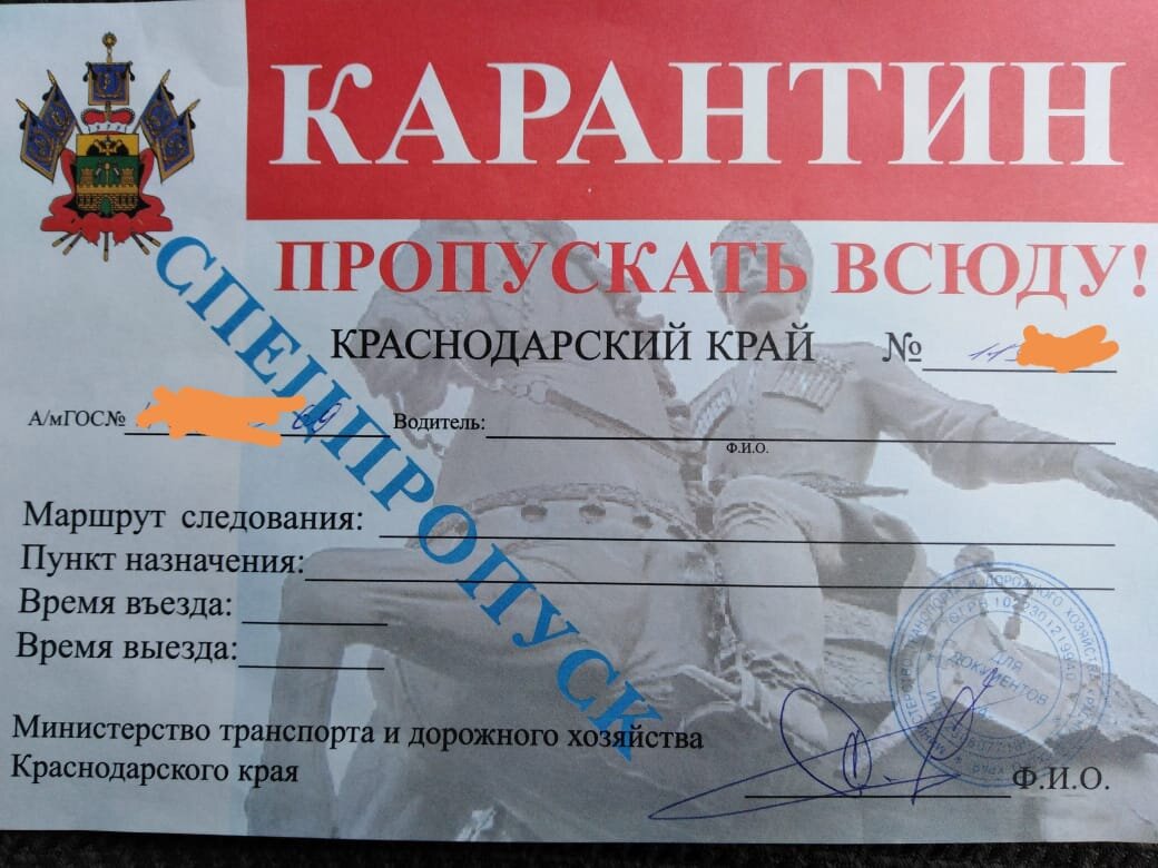 Реальный пропуск на передвижение. Собственное фото.