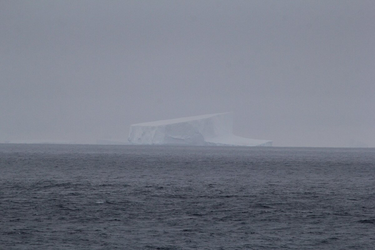 "Стражи Антарктиды"