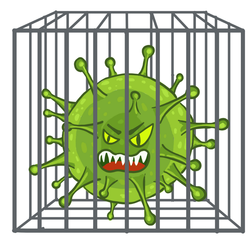 Картинка взята из открытого источника в Яндексе