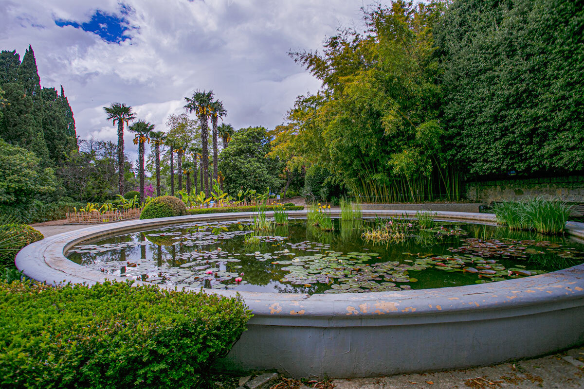 Никитский ботанический сад ялта фото