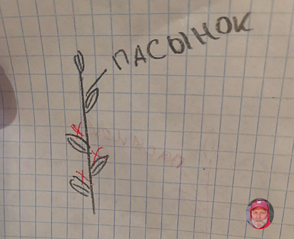 Схема обрезки