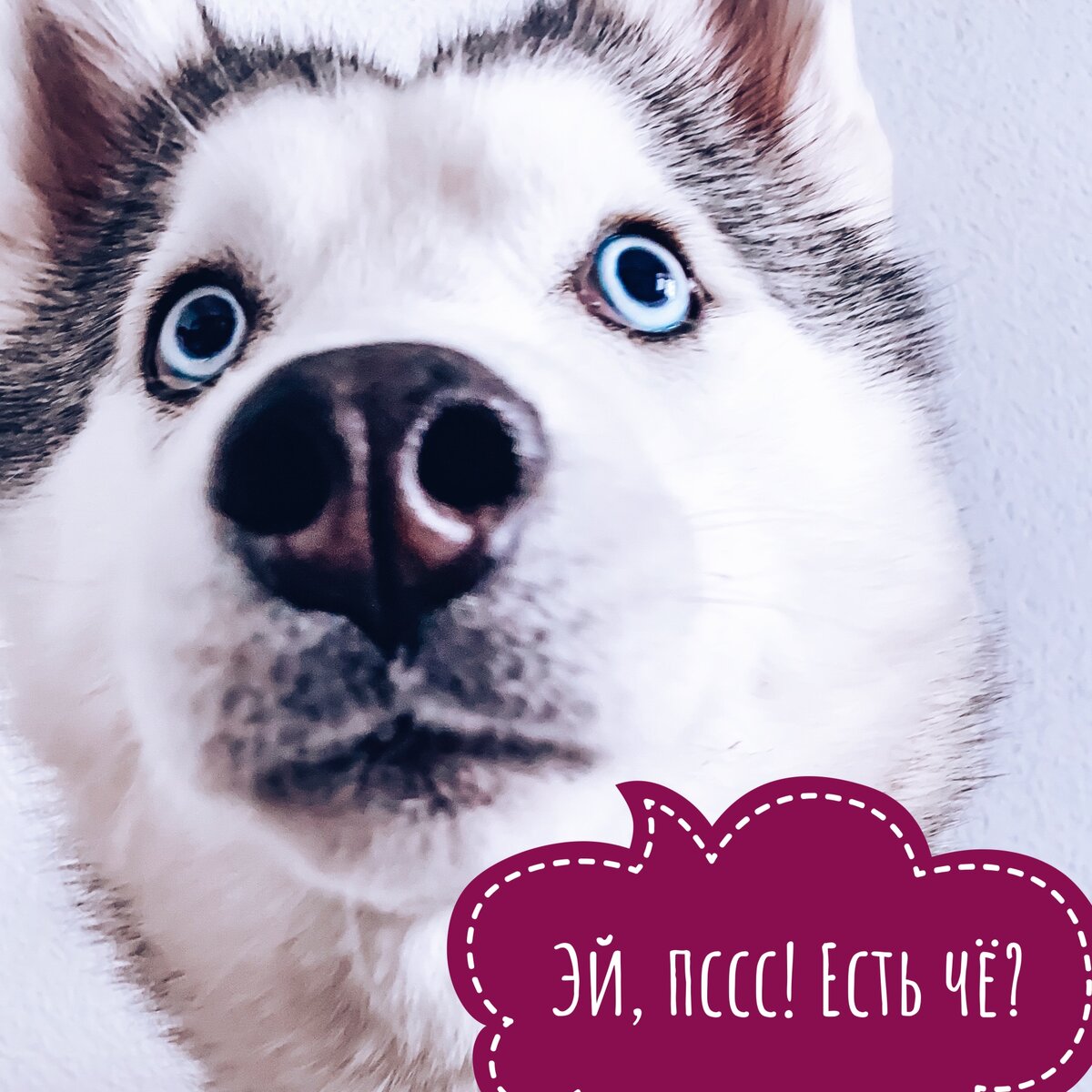 Ди❤️ Из личного архива 