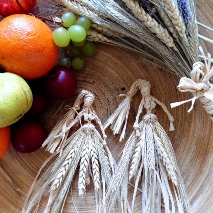 Зерновые куколки, Яндекс-картинки, свободный доступ