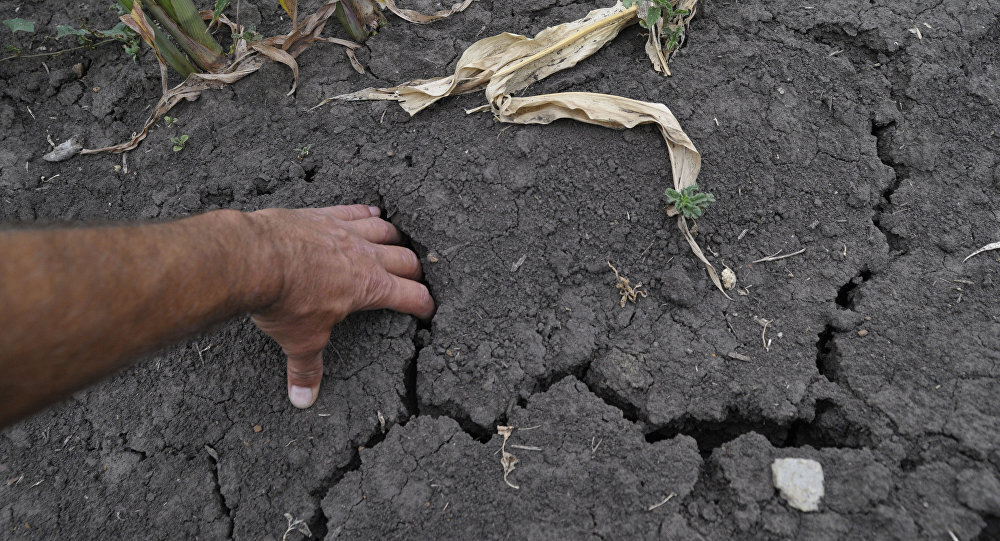 Фото: lv.sputniknews.ru