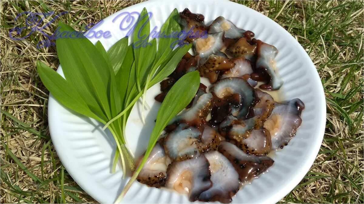 Прекрасное и полезное блюдо на природе