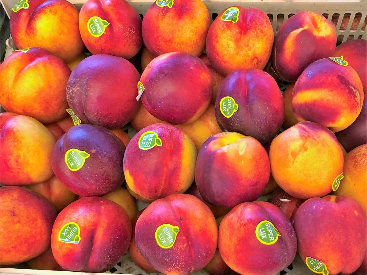 Нектарины. Фото автора