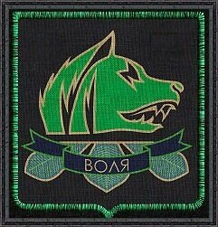 Эмблема группировки "Свобода"