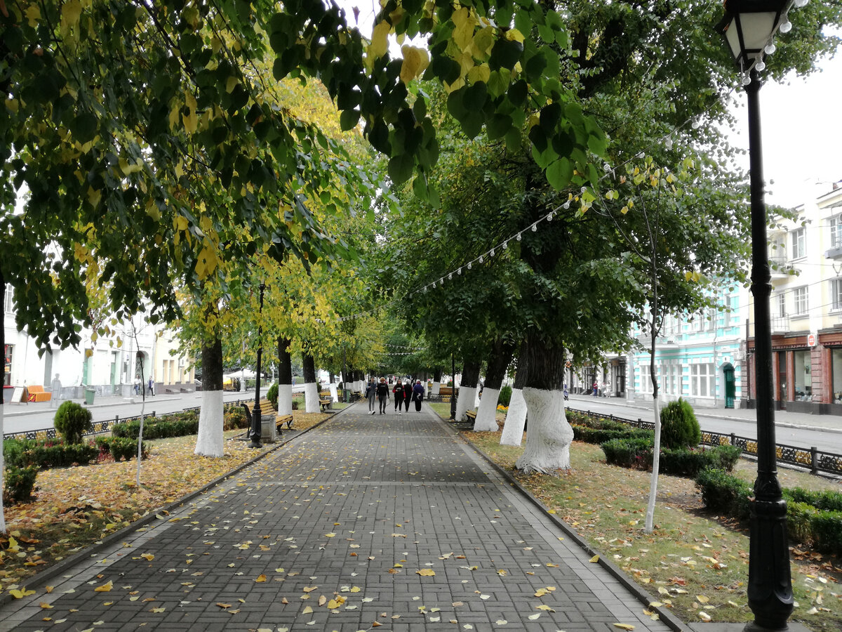 Пешеходный бульвар на проспекте Мира