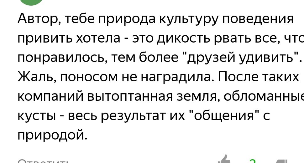 Скрин с не самого грубого комментария. Только обращение на "ты" и пожелание поноса🙄
