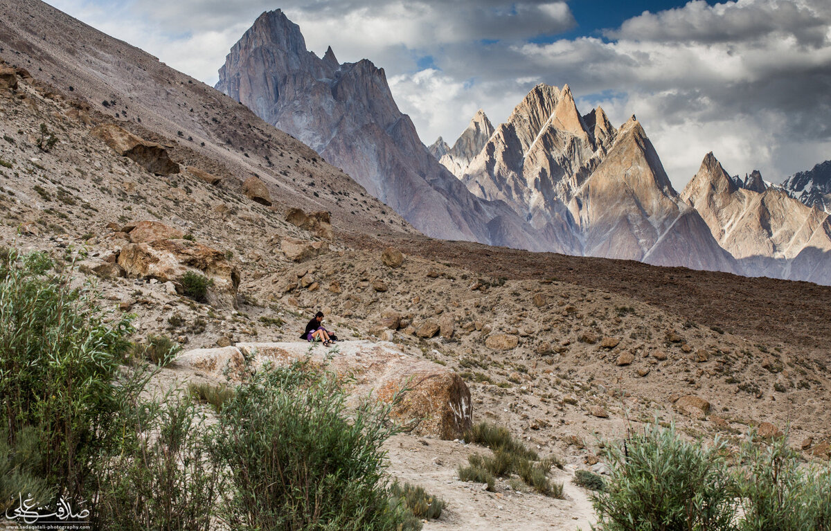 Галерея: Sadaqat Ali