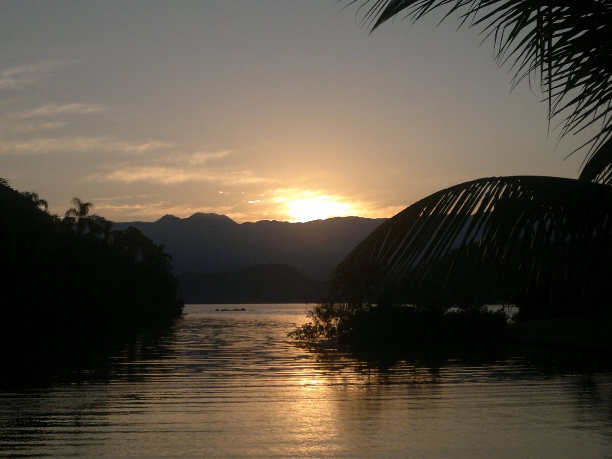 Фото автора | Муж оградил меня от бытовых вопросов