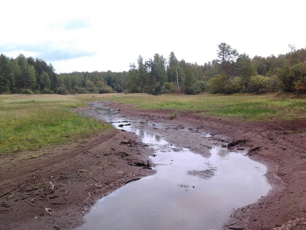 Здесь все должно быть под водой до леса