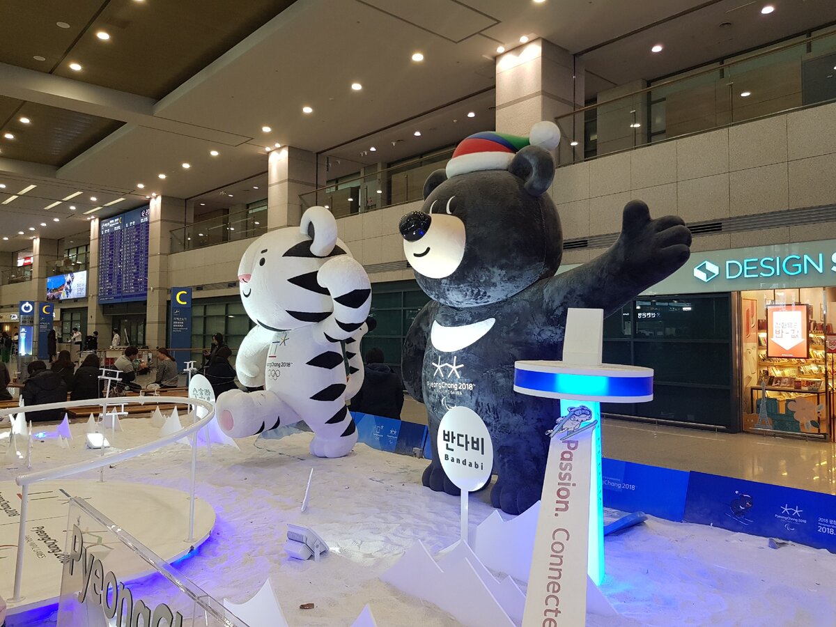 Аэропорт, обед