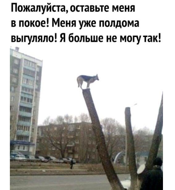 Автор изображения: Просторы Интернета. Яндекс Картинки.